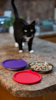 Stainless Steel Cat Bowl Set With Lids (Watermelon & Purple) | Messy Pets