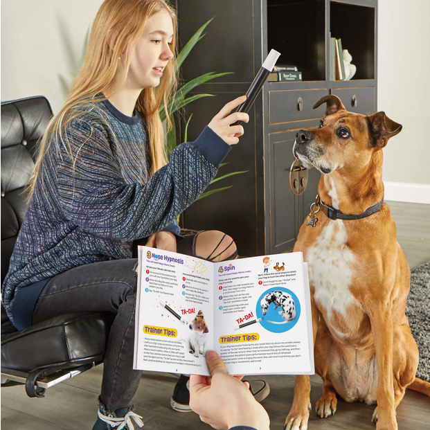 Magic Trick! Training Set | Brightkins