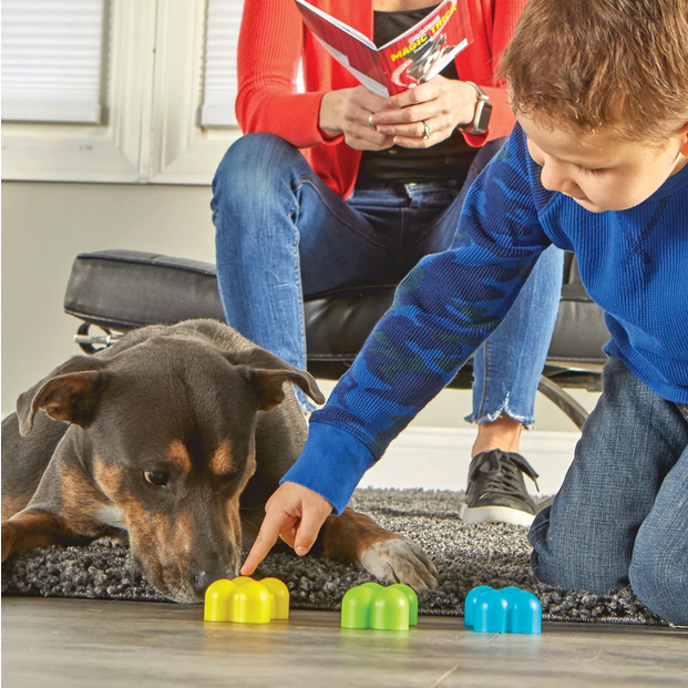 Magic Trick! Training Set | Brightkins