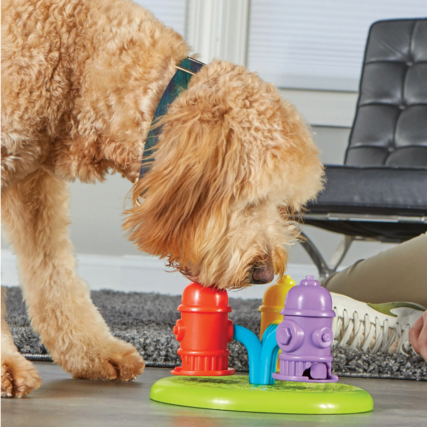 Spinning Hydrants Treat Puzzle | Brightkins