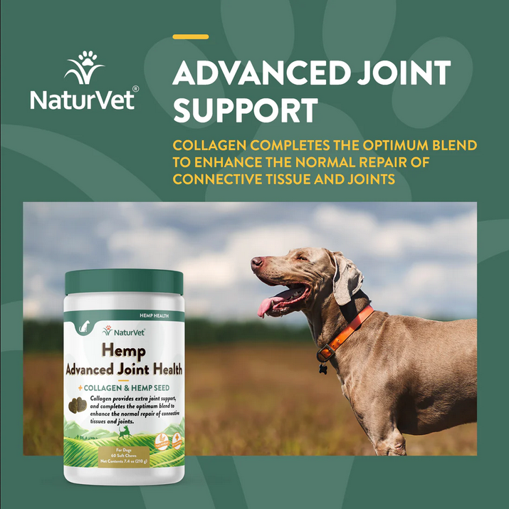 Hemp Advanced Joint Health (60 Count) | NaturVet