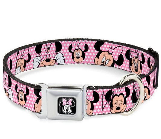 Licensed Seatbelt Buckle Collars | Buckle-Down