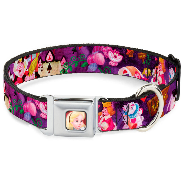 Licensed Seatbelt Buckle Collars | Buckle-Down