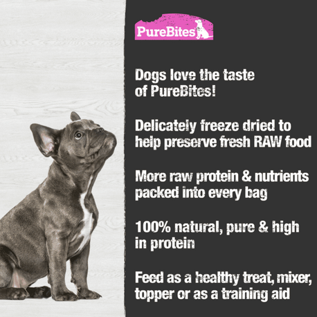 Salmon Freeze Dried Dog Treats (70g) | PureBites