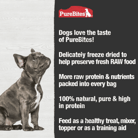 Chicken Breast Freeze Dried Dog Treats (85g) | PureBites