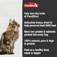 Chicken Breast Freeze Dried Cat Treats (31g) | PureBites