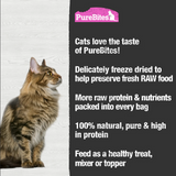 Salmon Freeze Dried Cat Treats (57g) | PureBites
