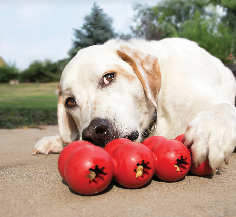 Classic Goodie Ribbon | KONG