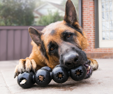 Extreme Goodie Ribbon | KONG