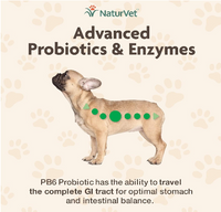 Advanced Probiotics & Enzymes (Dogs, 60 Count) | NaturVet