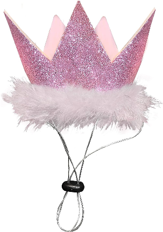 Birthday Crown (Small, Pink) | Huxley & Kent