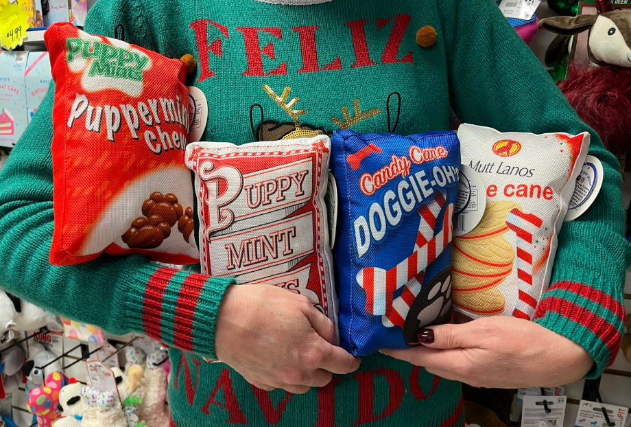 Holiday Fun Food Snacks Crinkle Dog Toy (Assorted) | Spot