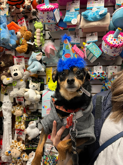 Birthday Party Hat | Huxley & Kent
