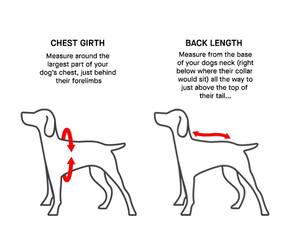 Ultimate Stretch Vest | Canada Pooch