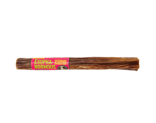 Bully Stuffed Esophagus Chew (10") | Etta Says!
