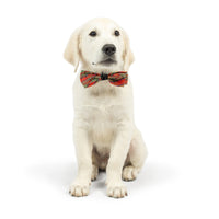 Christmas Bow Tie | Huxley & Kent