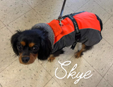 Chinook Dog Coat (Neon Orange) | Shedrow K9