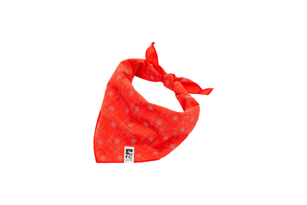 Flare Reflective Bandana (Small/Medium) | RC Pets