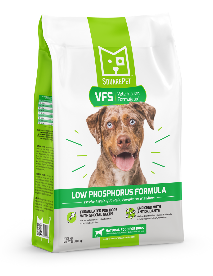 Veterinarian Formulated Dog Food (Low Phosphorus/Kidney Care) | Square Pet