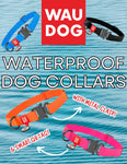 Waterproof Dog Collar With Metal Clasp (Assorted Colours) | Wau Dog