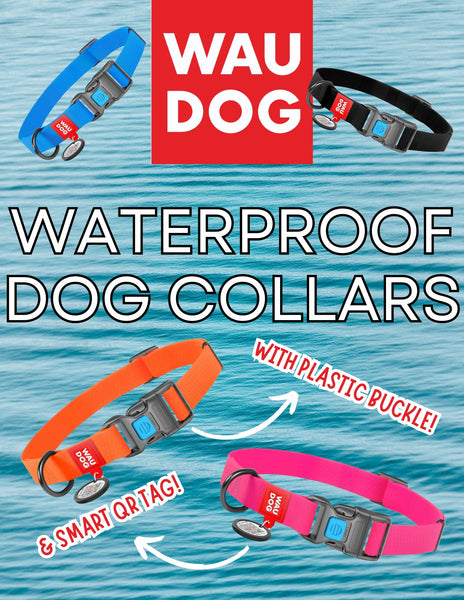Waterproof Collar With Plastic Buckle (Assorted Colours) | Wau Dog