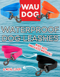 Waterproof Leash (Assorted Colours, 4ft) | Wau Dog