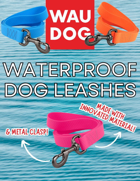 Waterproof Leash (Assorted Colours, 6ft) | Wau Dog