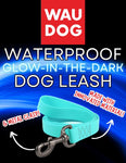 Waterproof Dog Leash (Glow-In-The-Dark, 6ft x 1") | Wau Dog