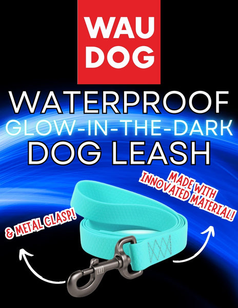 Waterproof Dog Leash (Glow-In-The-Dark, 6ft x 1") | Wau Dog