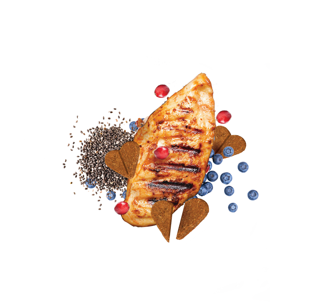 Zero/G Roasted Chicken Dog Treats | Darford