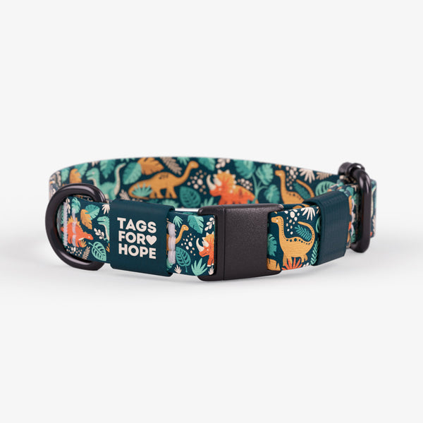 Little Dino Cat Collar | Tags For Hope