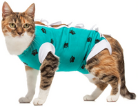 After Surgery Suit (Assorted Colours, XS-3XL) | VetMedWear