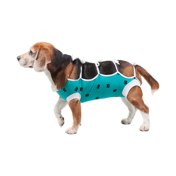 After Surgery Suit (Assorted Colours, XS-3XL) | VetMedWear