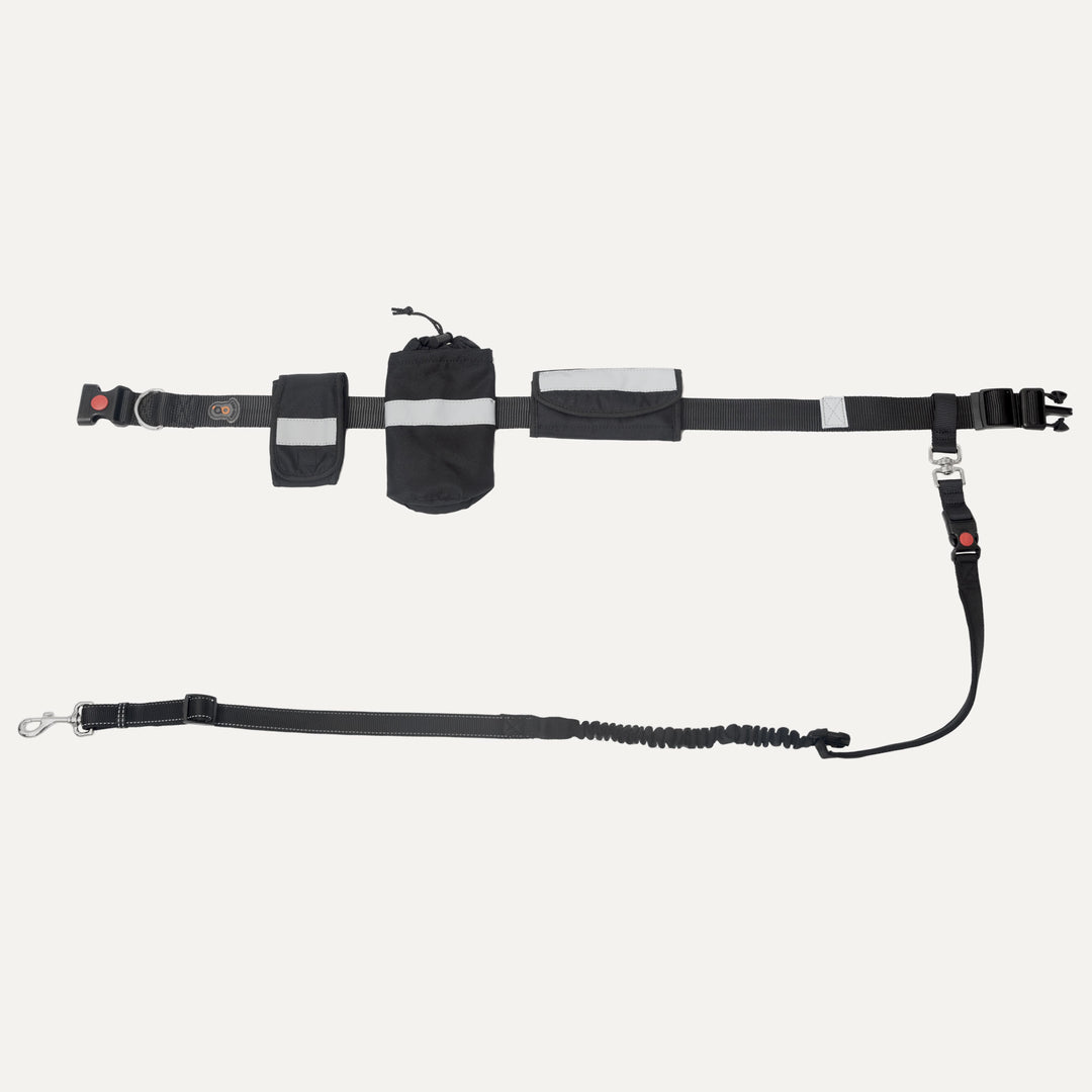 Hands-Free Bungee Leash | Goo-eez