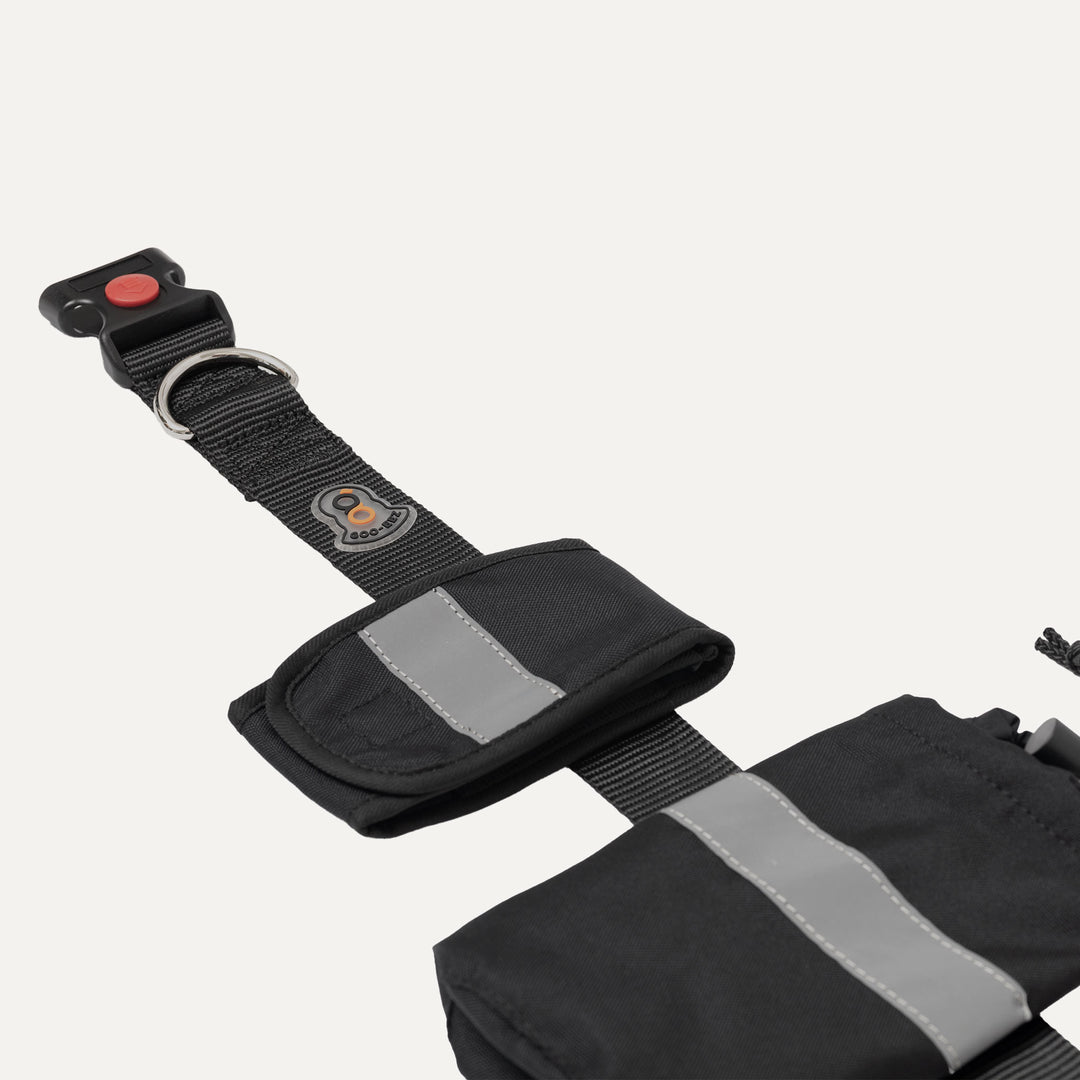 Hands-Free Bungee Leash | Goo-eez