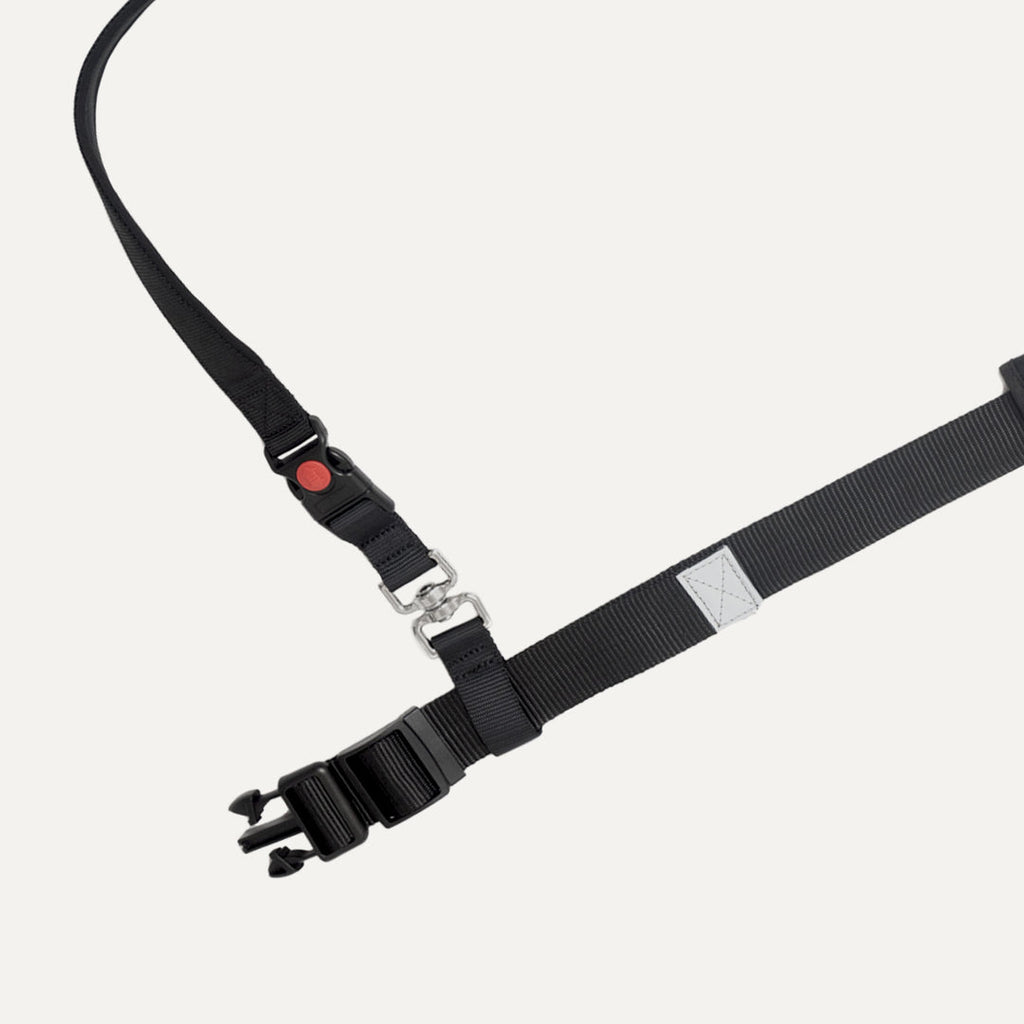 Hands-Free Bungee Leash | Goo-eez