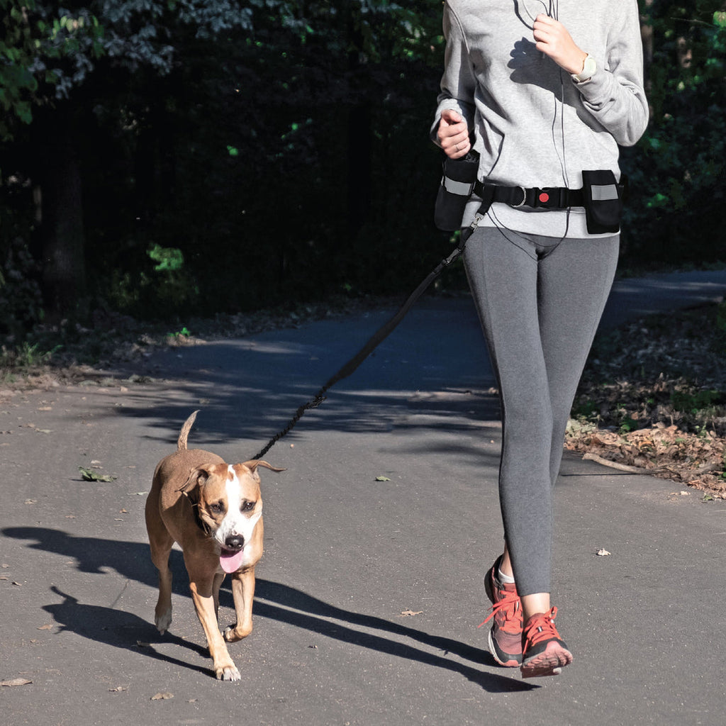 Hands-Free Bungee Leash | Goo-eez
