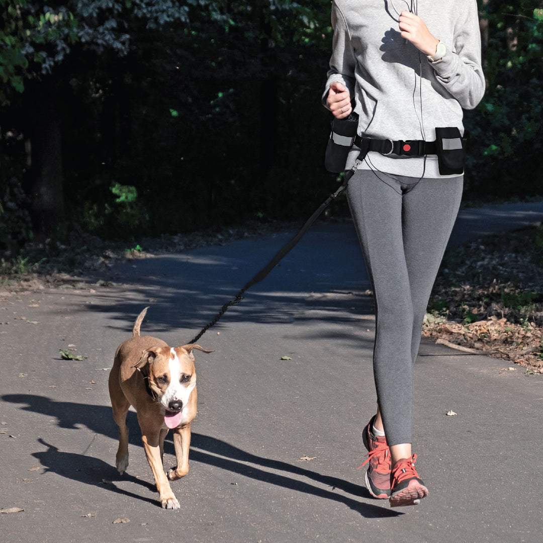 Hands-Free Bungee Leash | Goo-eez