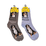 Human Socks (Bernese Mountain Dog) | Foozys