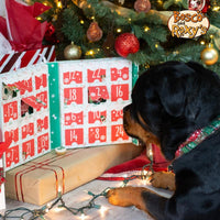 Musical Bark The Halls Advent Calendar For Dogs | Bosco & Roxy's