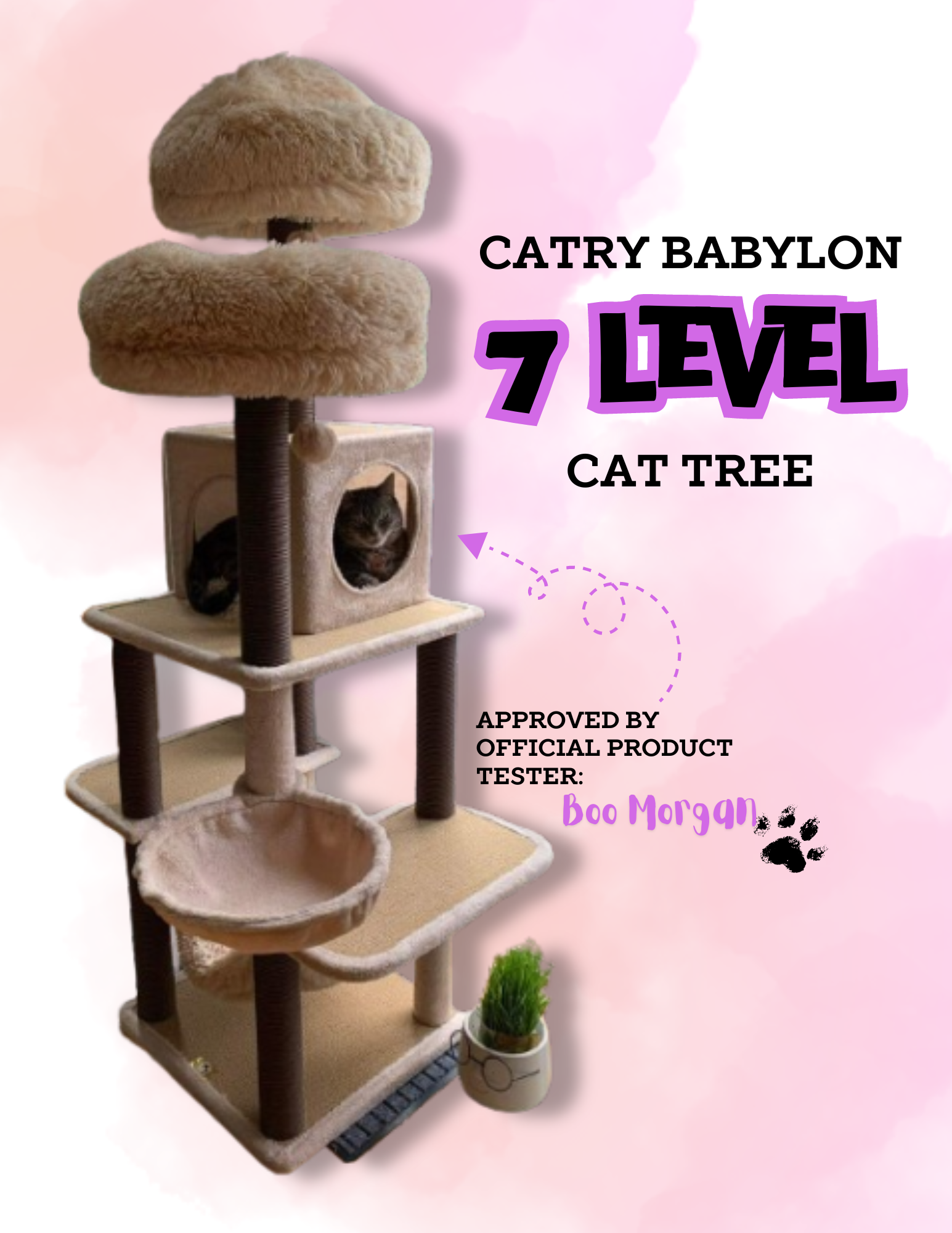 Catry Babylon 7-Level Cat Tree | PetPals Group – Danny's Paw Prints