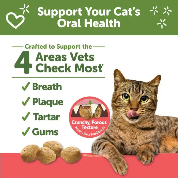 Cat Dental Treats (Chicken & Salmon) | Whimzees