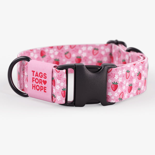 Strawberry Sweetheart Collar | Tags For Hope