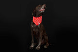 Flare Reflective Bandana (Small/Medium) | RC Pets