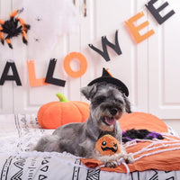 Pumpkin Super Ball | HugSmart