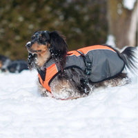 Chinook Dog Coat (Neon Orange) | Shedrow K9