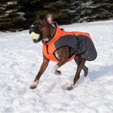 Chinook Dog Coat (Neon Orange) | Shedrow K9