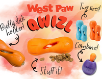 Qwizl Treat Toy (Assorted Colours) | West Paw