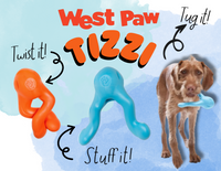 Tizzi Treat Toy (Assorted Colours) | West Paw