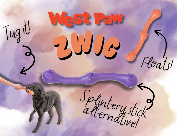 Zwig Fetch Toy (Assorted Colours) | West Paw